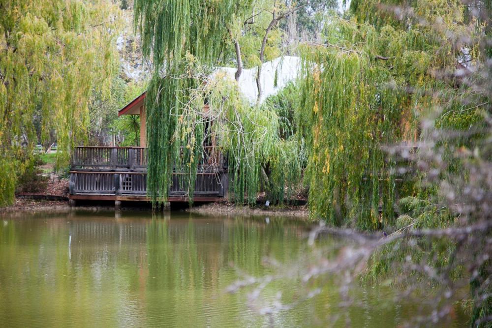 Hotel Perricoota Vines Retreat Moama Camera foto
