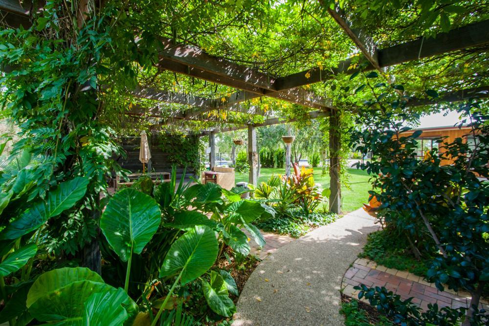 Hotel Perricoota Vines Retreat Moama Esterno foto