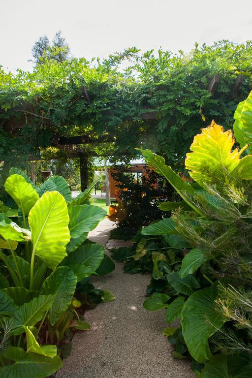 Hotel Perricoota Vines Retreat Moama Esterno foto