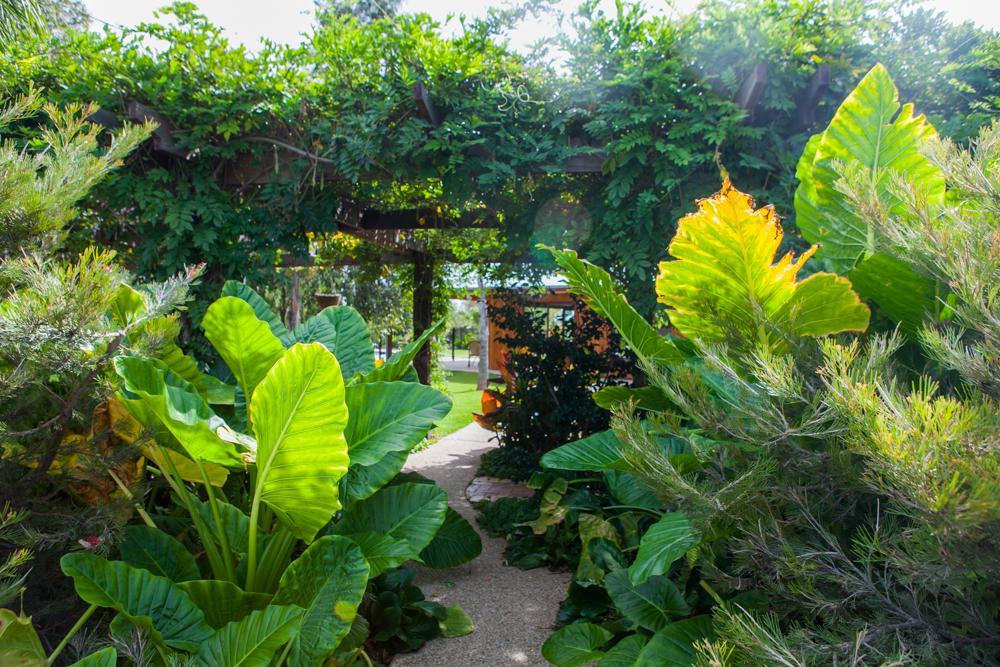 Hotel Perricoota Vines Retreat Moama Esterno foto