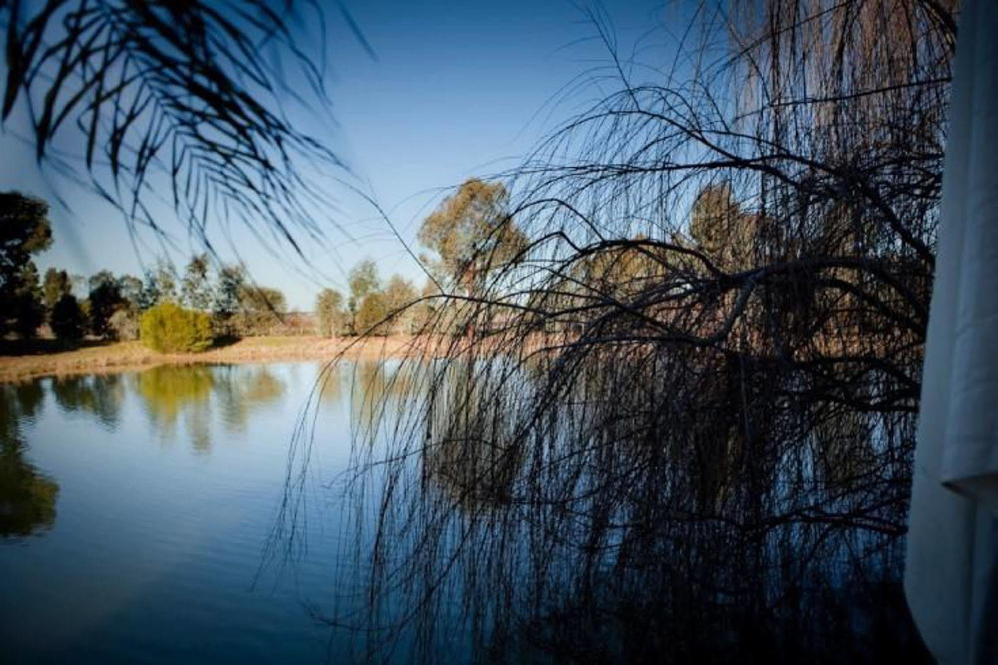 Hotel Perricoota Vines Retreat Moama Esterno foto