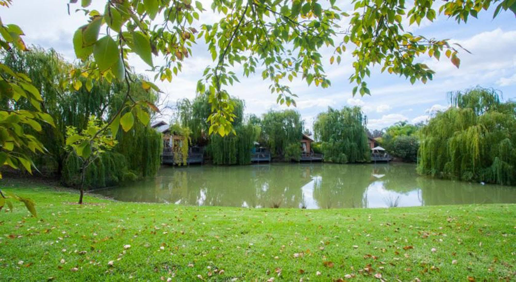 Hotel Perricoota Vines Retreat Moama Esterno foto