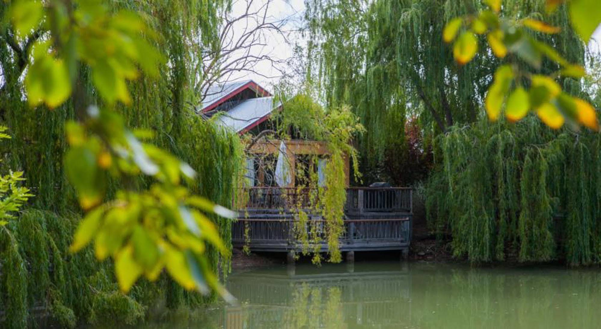 Hotel Perricoota Vines Retreat Moama Esterno foto