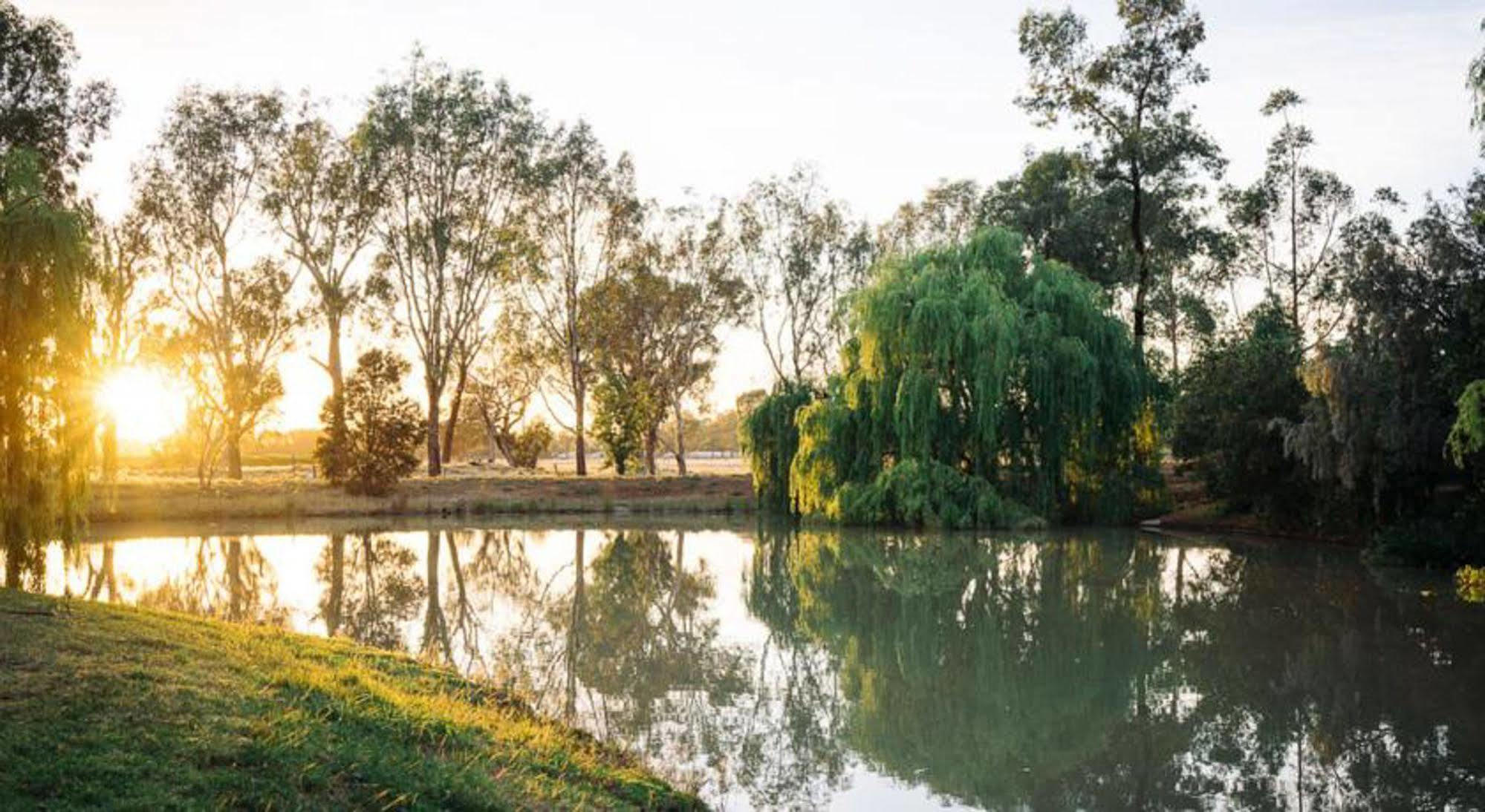 Hotel Perricoota Vines Retreat Moama Esterno foto